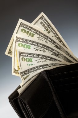 Doları banknot deri cüzdan