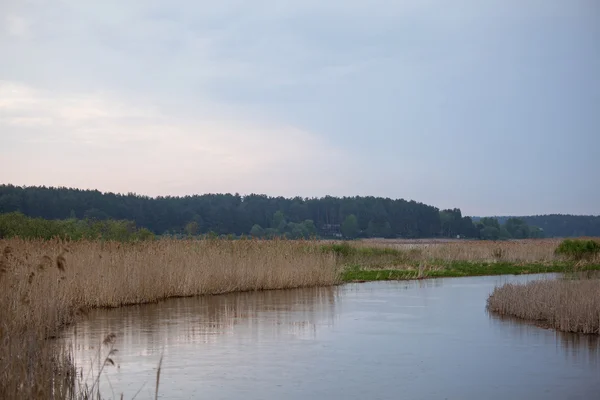 Peaceful landscape — Stock Photo, Image