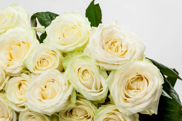 Bouquet di bellissime rose da tè — Foto Stock