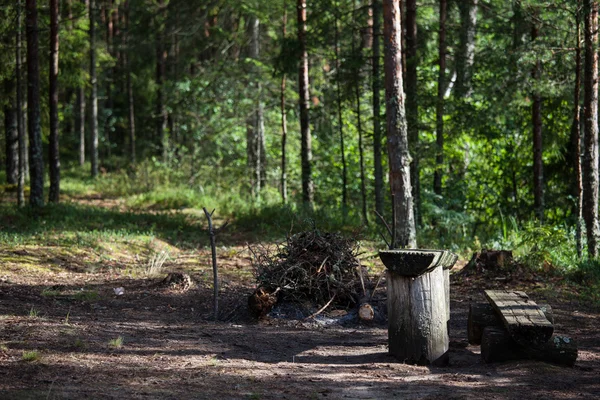 Bench and a campfire — Stock Photo, Image