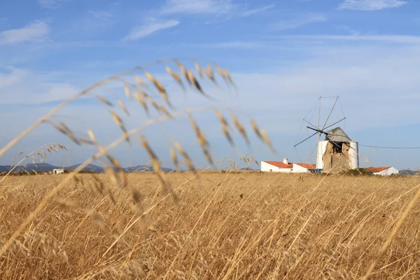 Windmolen Stockafbeelding