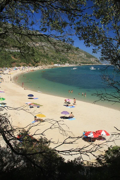 Galapinhos Stock Picture