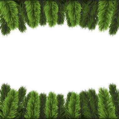 beyaz zemin üzerinde Noel ağacı dalı