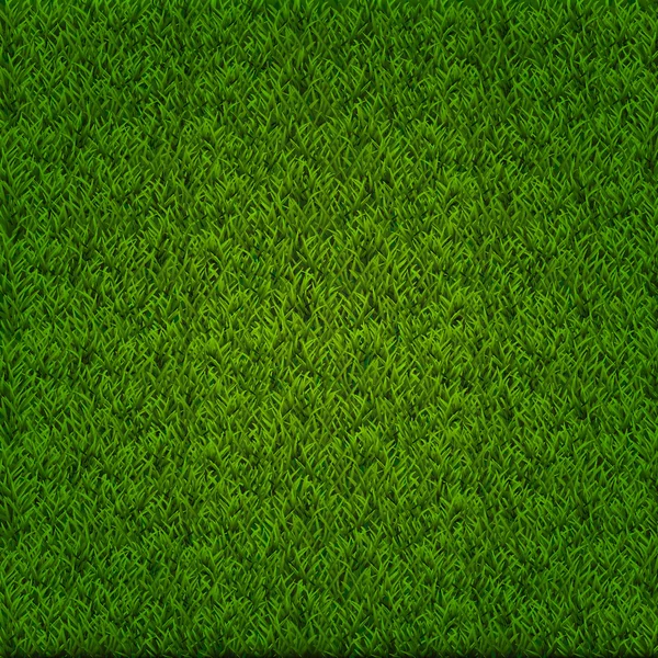 Zielona trawa w tle — Wektor stockowy