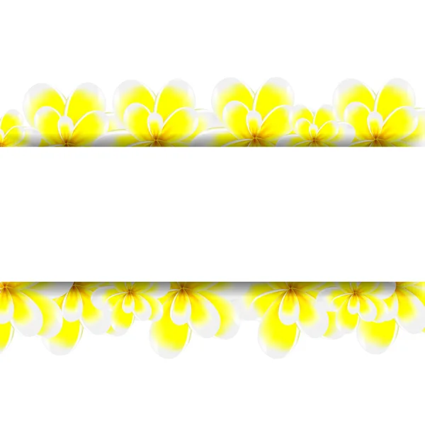 Banner com flores —  Vetores de Stock