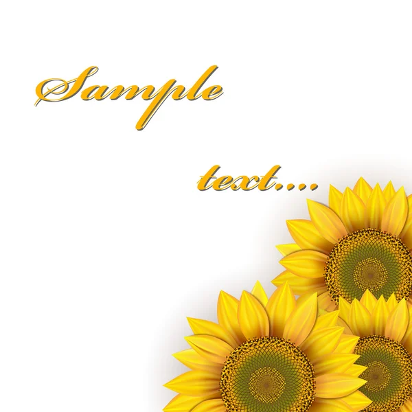 Tournesols — Image vectorielle