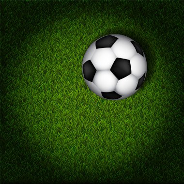 futbol topu çimlerin üzerinde