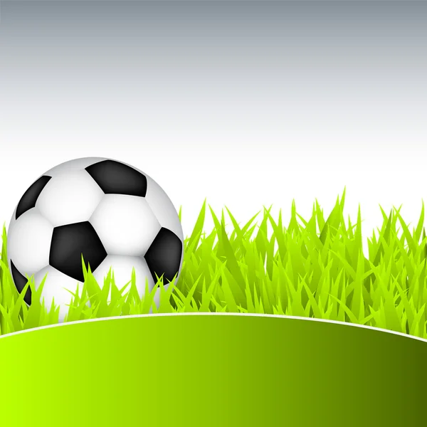 Soccer ball on green grass — Stock Vector