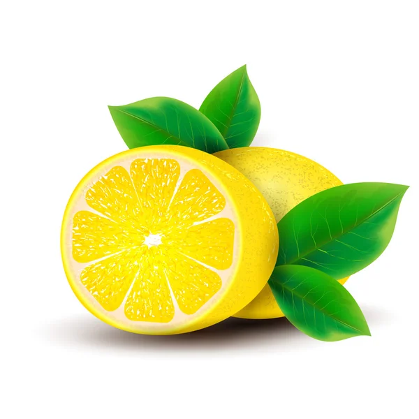 Lemons with leaves. — Stock Vector