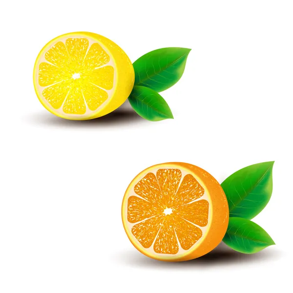 Lemon dan oranye - Stok Vektor