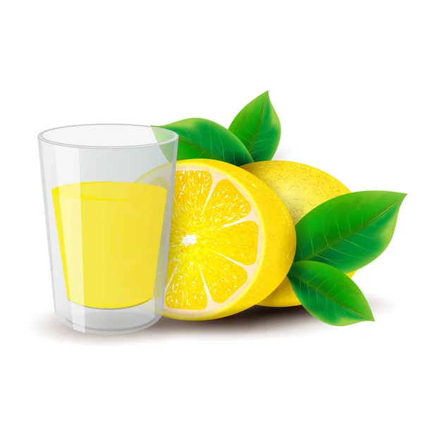 Succo di limone — Vettoriale Stock