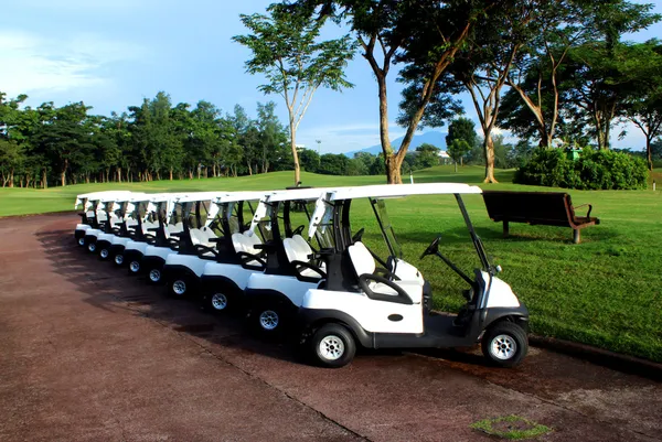 Golf Carts Stock Image