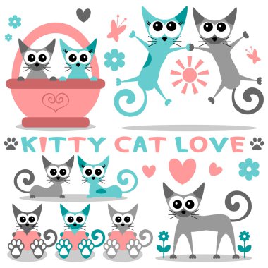 romantik pisi kedi aşk seti