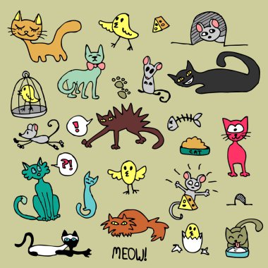 renkli kedi seti