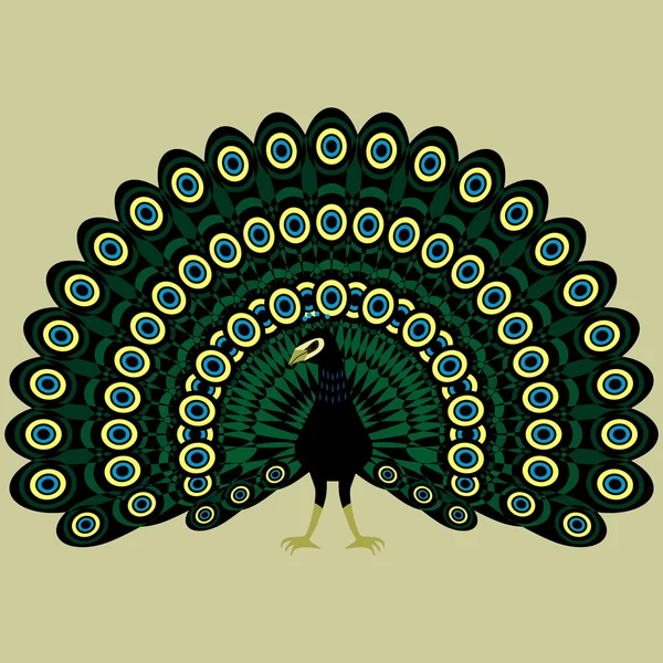 Illustration of a beautiful peacock — Stock Vector