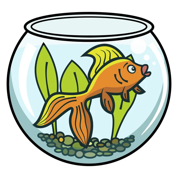 Guldfisk i en skål — Stock vektor
