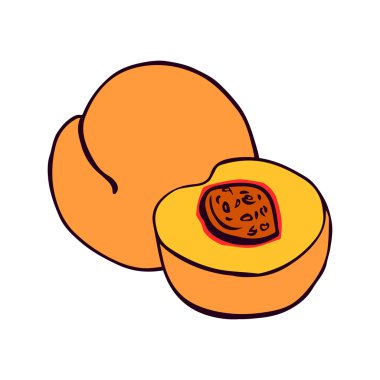 Şeftali illüstrasyon