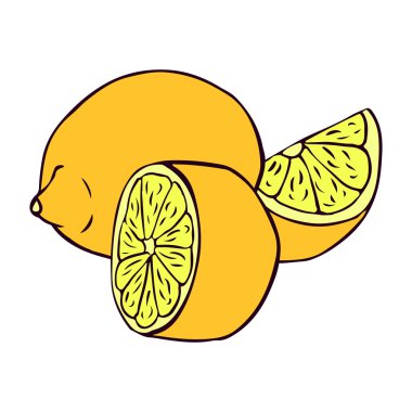 limon illüstrasyon