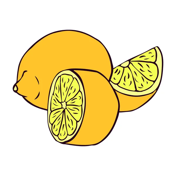 Illustrazione limone — Vettoriale Stock