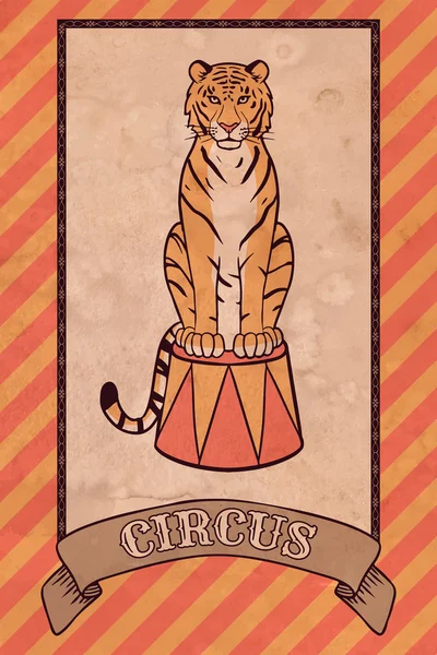Ilustración de circo vintage, tigre — Vector de stock