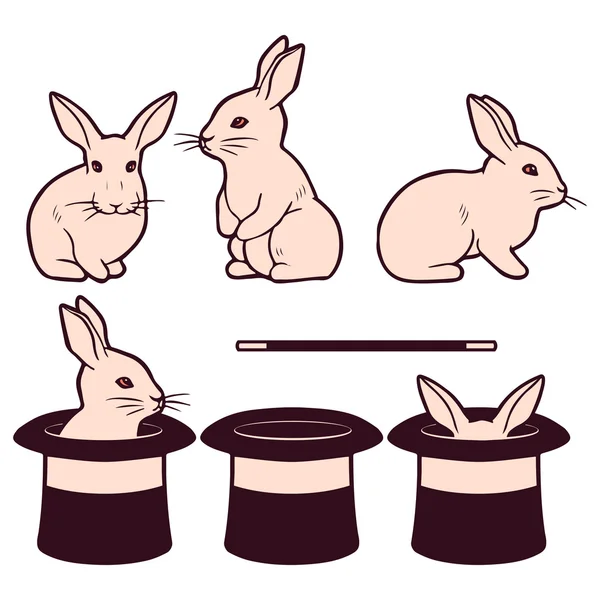 Conigli bianchi e cilindri prestazioni magiche — Vettoriale Stock