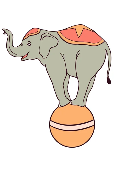 Cirkus elefant — Stock vektor