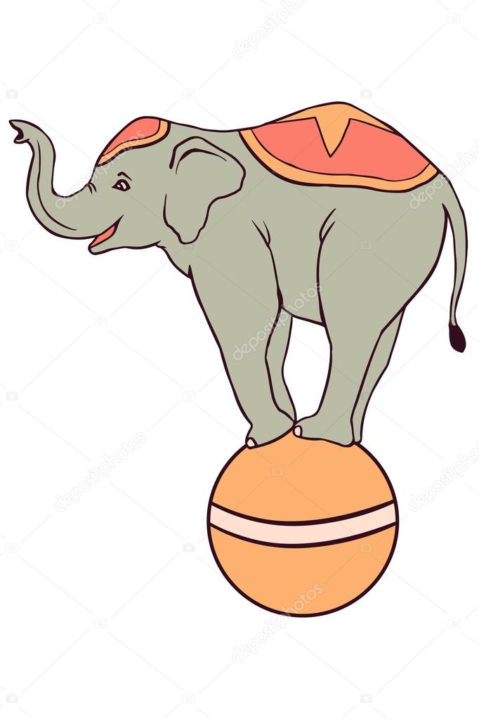 Circus elephant Stock Vector by ©littlepaw 49856003