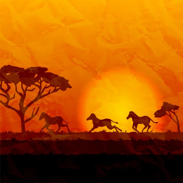 Silhouettes of zebras running on sunset background