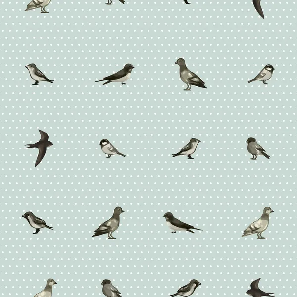 Seamless pattern birds — Stock Vector