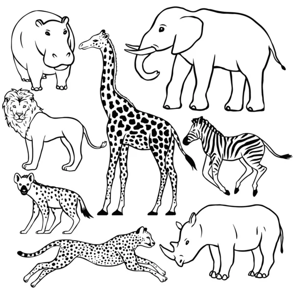 Ensemble d'animaux africains — Image vectorielle