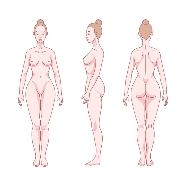 Figura Mujer Blanca Pie Silueta Vista Frontal Trasera Lateral Diagrama — Vector de stock