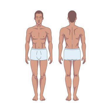 Siyah adam figürü ayakta, siluet, ön ve arka görüş. Erkek vücut anatomisi diyagramı. Çıkarılabilir iç çamaşırı. Vektör illüstrasyonu