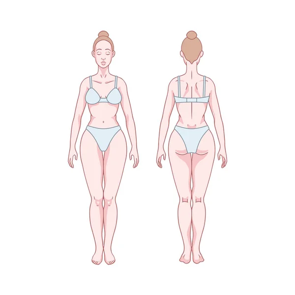 Фигура Белой Женщины Стоит Силуэт Вид Спереди Сзади Диаграмма Анатомии Лицензионные Стоковые Иллюстрации