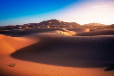 Merzouga, Erg Chebbi, Fas 'taki DUNES' te SHADOW