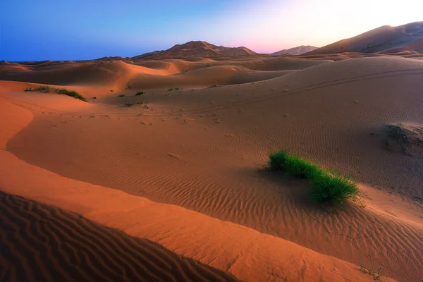 Golden Green Dunes Merzouga Erg Chebbi Morocco — Stock Photo, Image