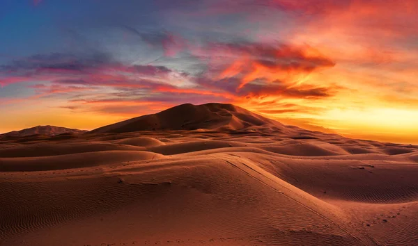 Rood Alert Desert Rechtenvrije Stockafbeeldingen