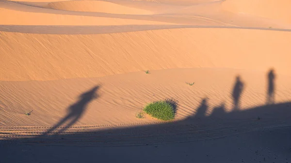 Shadows Dunes Merzouga Erg Chebbi Morocco — Stock Photo, Image