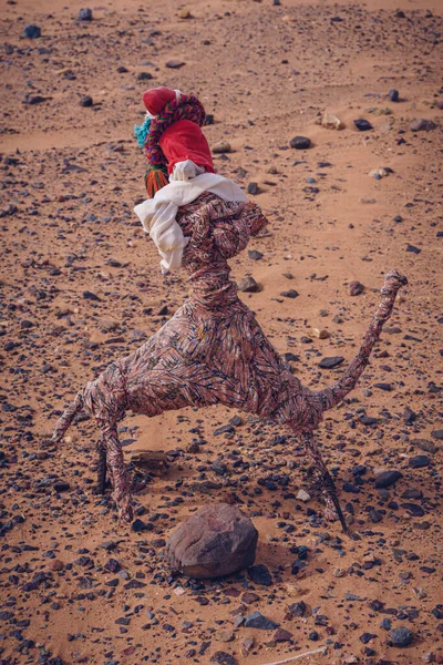 Giocattolo Cammello Nel Deserto Marocco — Foto Stock