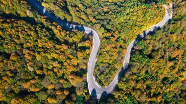 Beautiful autumn forest landscape with winding mountain road. Top view drone shot. Beautiful autumn colors clipart
