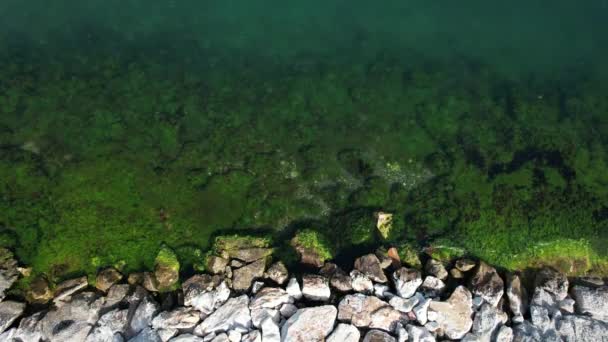 マーマラ海の苔むした海岸 トルコのコケリ 苔むした海の上の景色 — ストック動画
