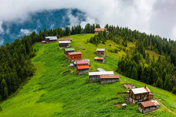 Προβολή Pokut Plateau Βουνά Kackar Αυτό Οροπέδιο Βρίσκεται Στην Περιοχή — Φωτογραφία Αρχείου