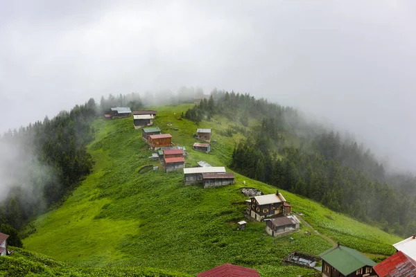 Pokut Plateau Uitzicht Met Kackar Mountains Dit Plateau Ligt Het — Stockfoto