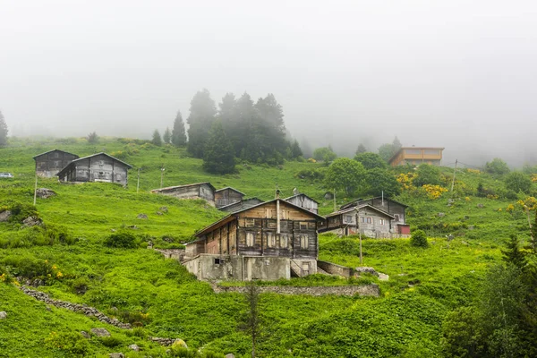 Höhenplateau Rize Dieses Plateau Liegt Bezirk Camlihemsin Der Provinz Rize — Stockfoto