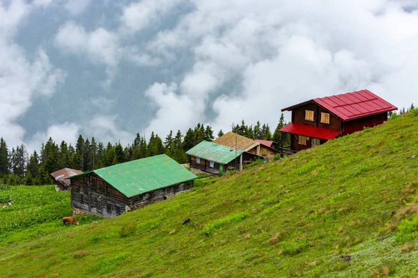 Sal Plateau Dystrykcie Camlihemsin Prowincji Rize Region Gór Kackar Rize — Zdjęcie stockowe