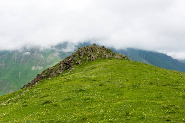 Rize 'nin Camlihemsin ilçesine bağlı Cicekli Platosu. Kackar Dağları bölgesi. Rize, Hindi. (Türkçe: Cicekli Yaylasi)