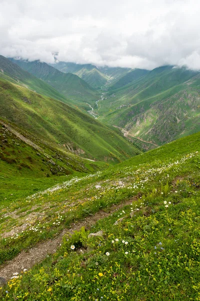 Cicekli Plateau Camlihemsin District Rize Province Kackar Mountains Region Rize — Zdjęcie stockowe