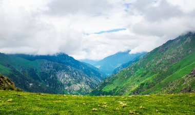 Rize 'nin Camlihemsin ilçesine bağlı Cicekli Platosu. Kackar Dağları bölgesi. Rize, Hindi. (Türkçe: Cicekli Yaylasi)