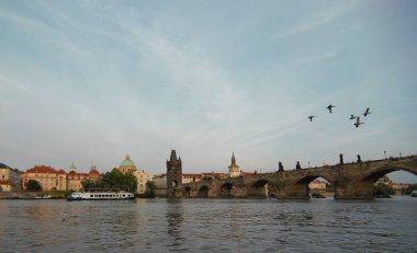 Yaprakları ile olgun armut