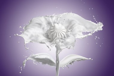 Marshmallow ile süt bir çiçek şeklinde sıçraması