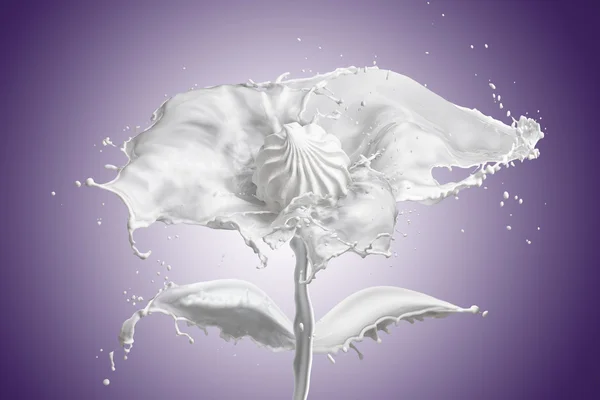 Proutěná s rozstříknutým mléka v podobě květiny Royalty Free Stock Obrázky